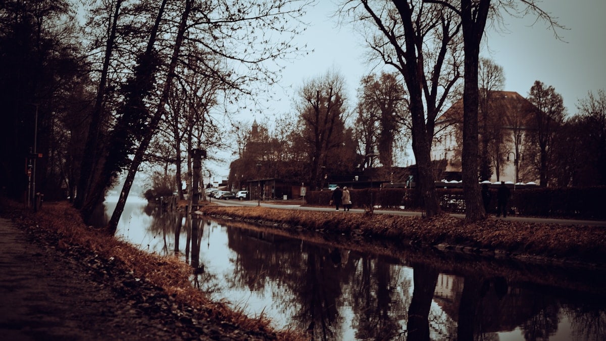Bare trees line a calm canal reflecting the sky.